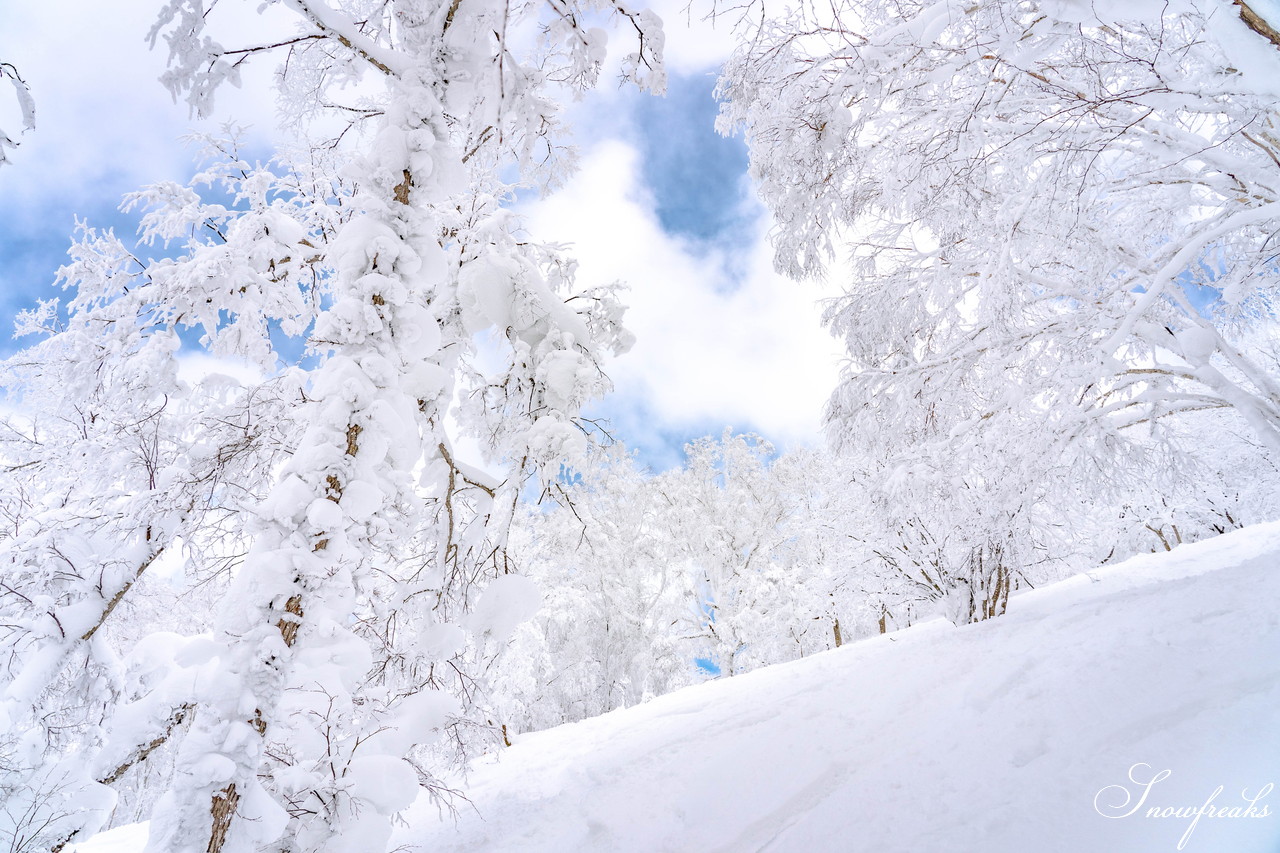 ルスツリゾート　2日間の吹雪の後の青空。たっぷり新雪が降り積もった樹氷林の中を滑る！